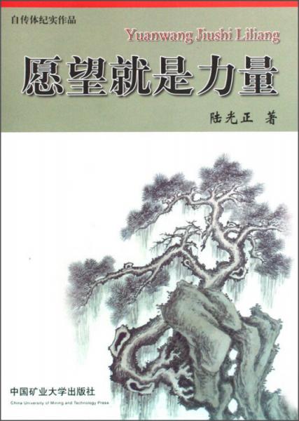 愿望就是力量