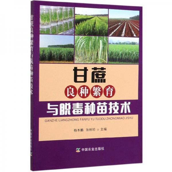 甘蔗良種繁育與脫毒種苗技術(shù)