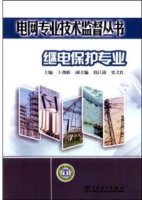 电网专业技术监督丛书 : 继电保护专业