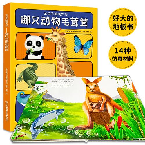 宝宝的触摸书 地板书 