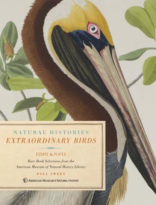 Extraordinary Birds