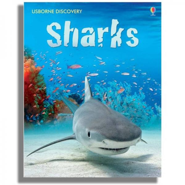 Sharks鲨鱼 英文原版