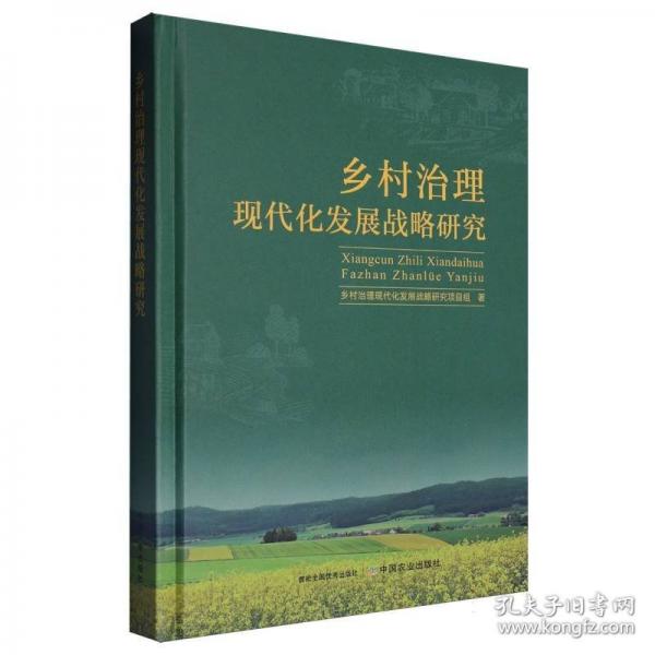 鄉(xiāng)村治理現(xiàn)代化發(fā)展戰(zhàn)略研究