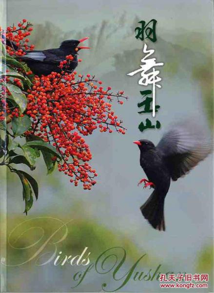 羽舞玉山-賞鳥篇 共計(jì)2?