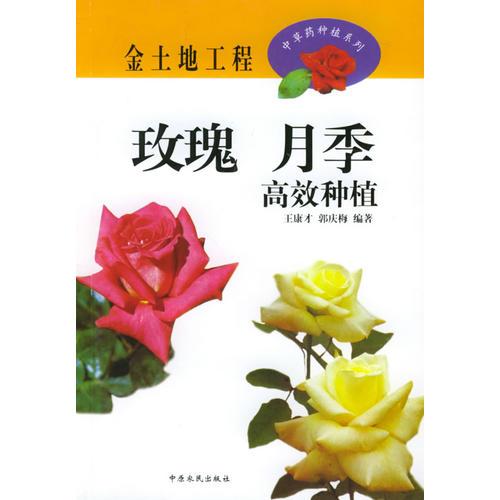 玫瑰、月季高效種植