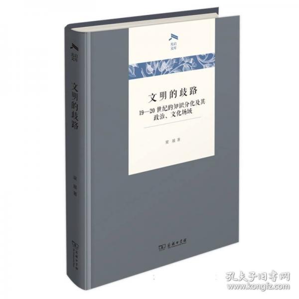 文明的歧路：19-20世紀的知識分化及其政治、文化場域