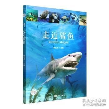 走近鲨鱼
