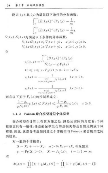 北京大学数学教学系列丛书·研究生数学基础课教材：风险理论