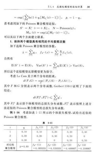北京大学数学教学系列丛书·研究生数学基础课教材：风险理论