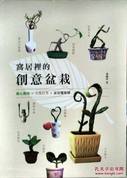 窩居里的創(chuàng)意盆栽
