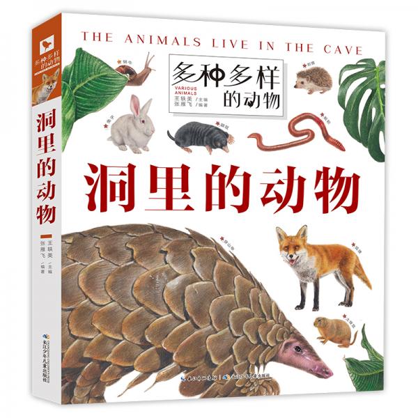 多種多樣的動物·洞里的動物一套孩子愛不釋手的動物翻翻書