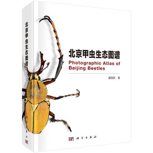 北京甲虫生态图鉴