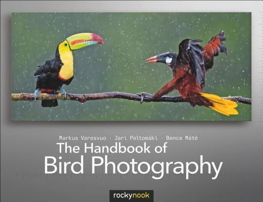 TheHandbookofBirdPhotography