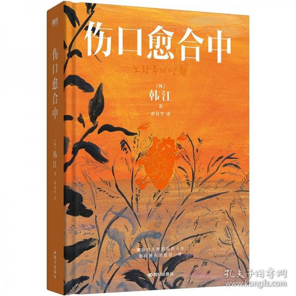 伤口愈合中：2024年诺贝尔文学奖得主韩江疗愈之作首次引进！不要失眠，不要做噩梦，不要相信任何人的指责。黄铉辰推荐