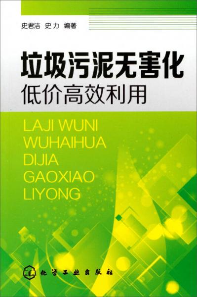 垃圾、污泥無害化低價高效利用