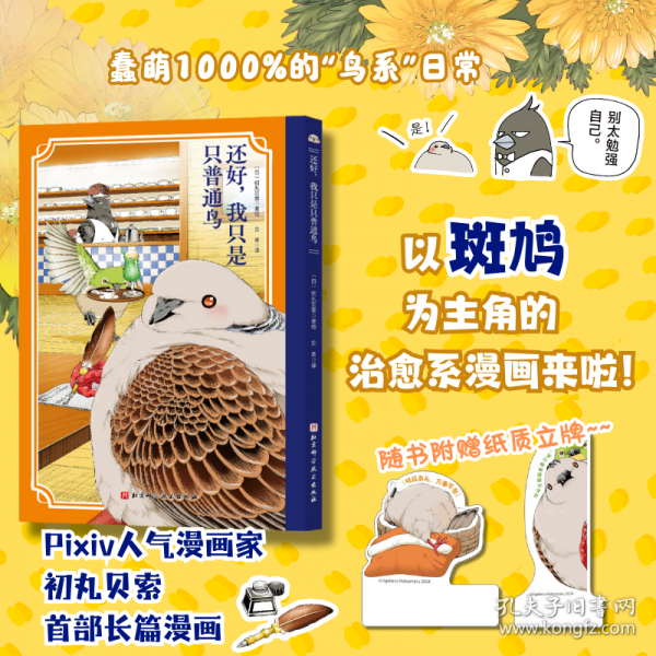 还好，我只是只普通鸟