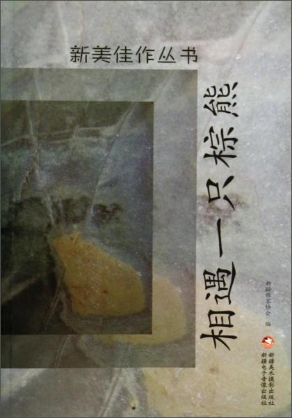 相遇一只棕熊