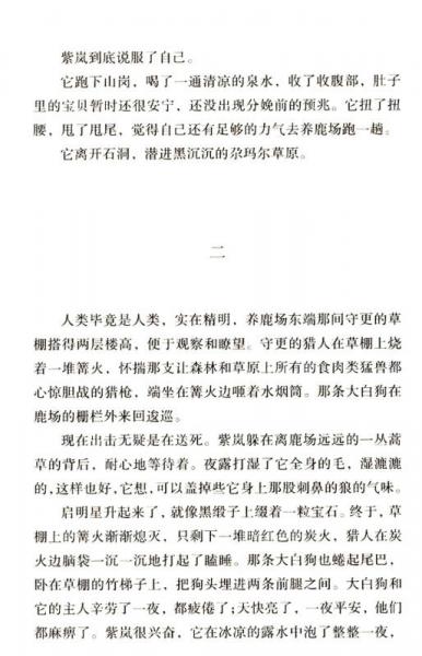 百年百部中国儿童文学经典书系：狼王梦