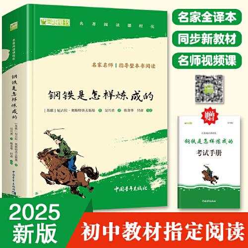 钢铁是怎样炼成的 全本无删减