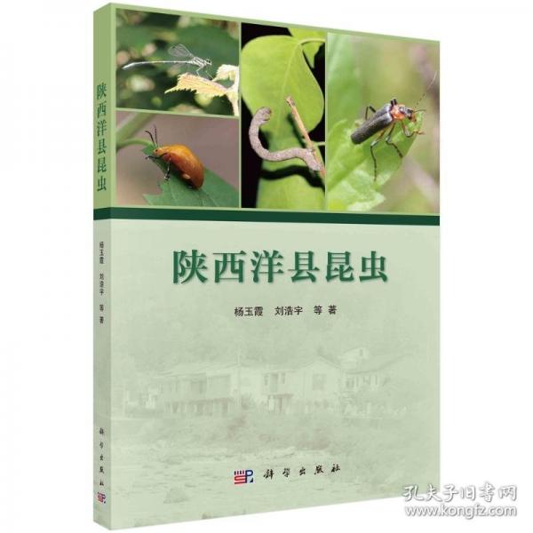 陜西洋縣昆蟲