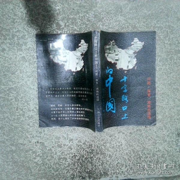 十字路口上的中國.問題、探索、艱難的選擇