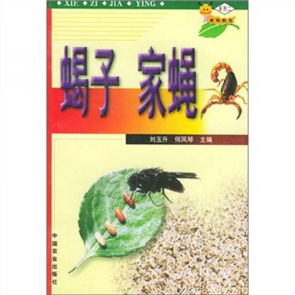 蟲(chóng)族數(shù)寶系列：蝎子家蠅