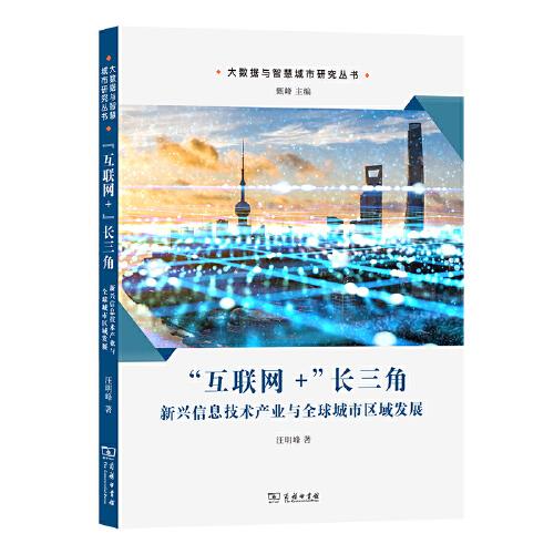 “互联网+”长三角：新兴信息技术产业与全球城市区域发展(大数据与智慧城市研究丛书)
