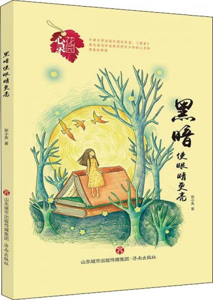 黑暗使眼睛更亮 