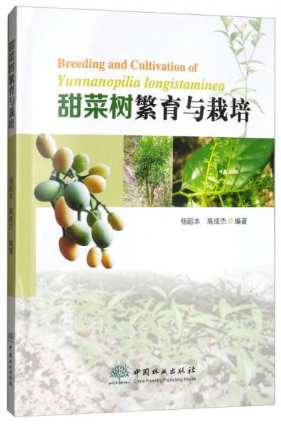 甜菜樹繁育與栽培