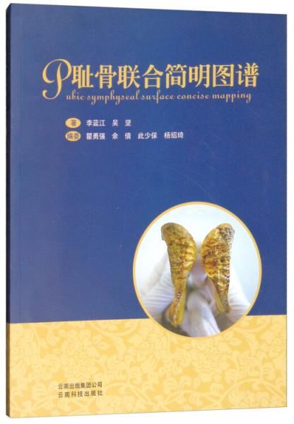 耻骨联合简明图谱