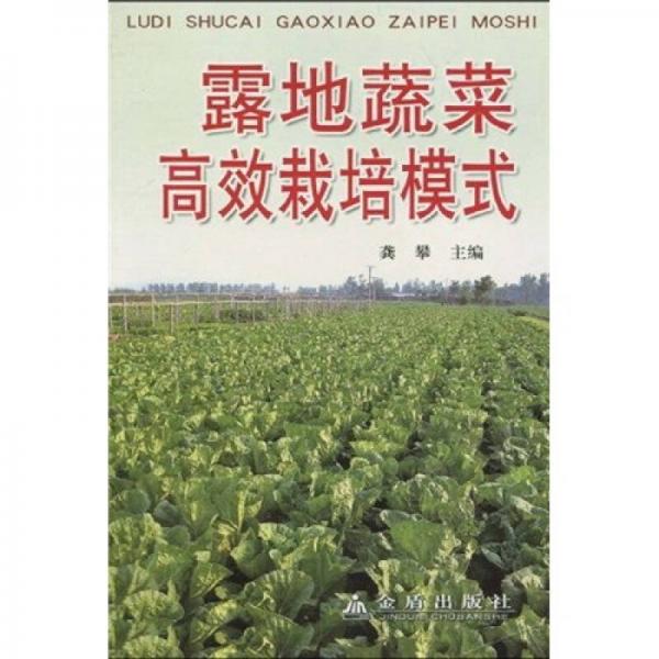 露地蔬菜高效栽培模式