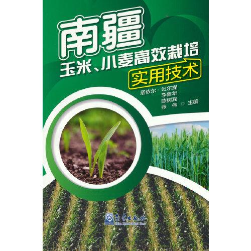 南疆玉米、小麥高效栽培實(shí)用技術(shù)