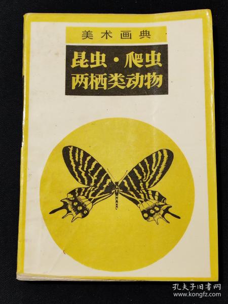 画廊.24:油画丛刊