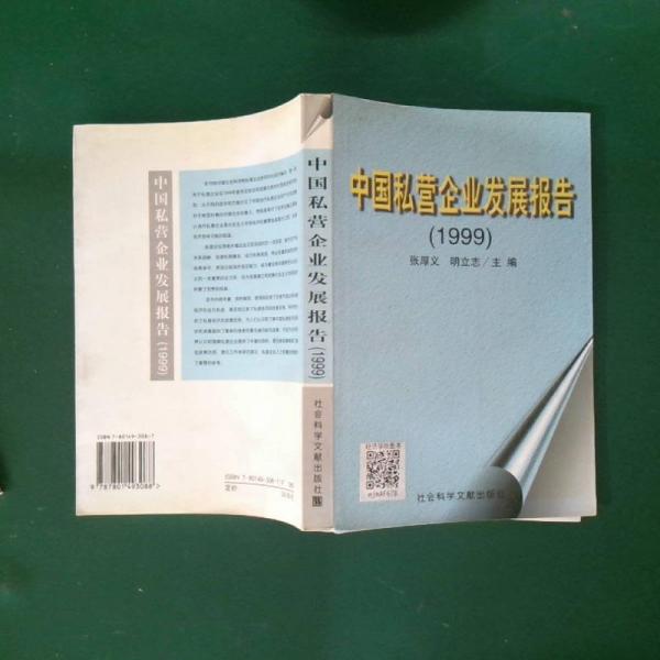 中國(guó)私營(yíng)企業(yè)發(fā)展報(bào)告.1999