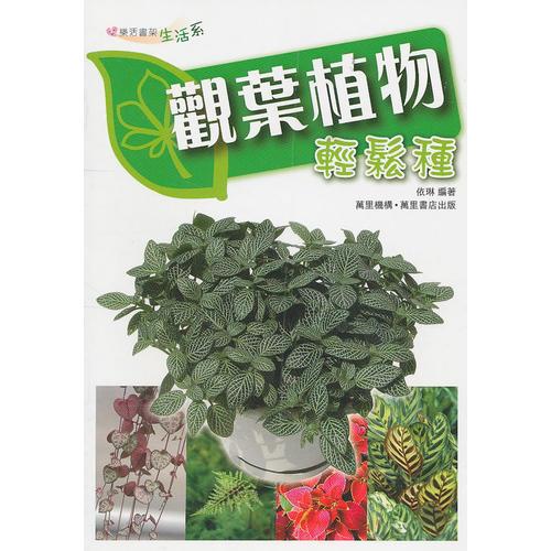 觀葉植物輕松種