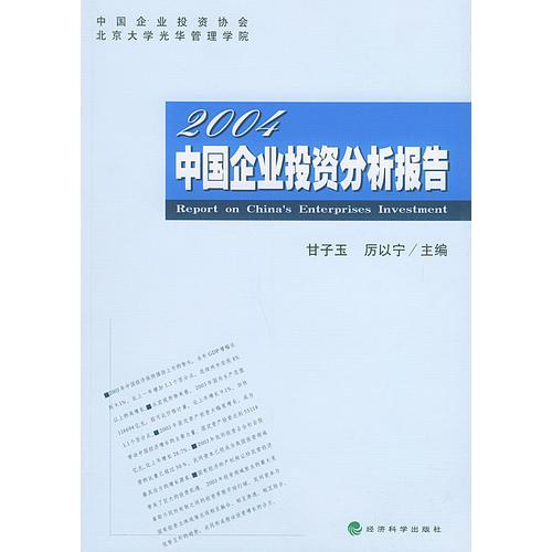 中国企业投资分析报告2004
