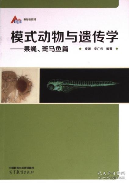 模式動物與遺傳學(xué)——果蠅、斑馬魚篇