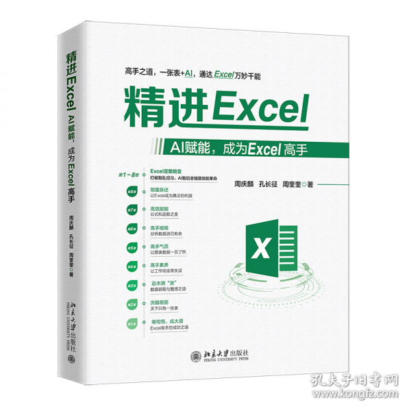 精进EXCEL：AI赋能，成为EXCEL高手