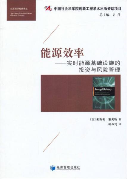 能源经济经典译丛·能源效率：实时能源基础设施的投资与风险管理