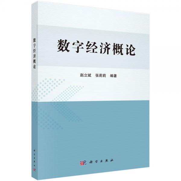 數(shù)字經(jīng)濟(jì)概論