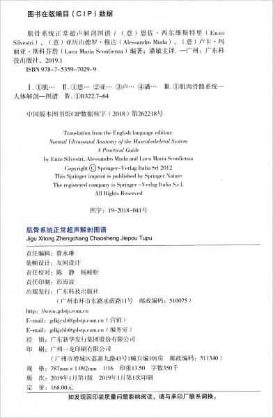 肌骨系统正常超声解剖图谱