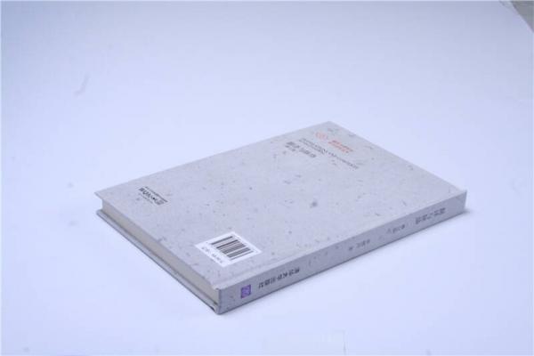 翻译与脉络 修订版