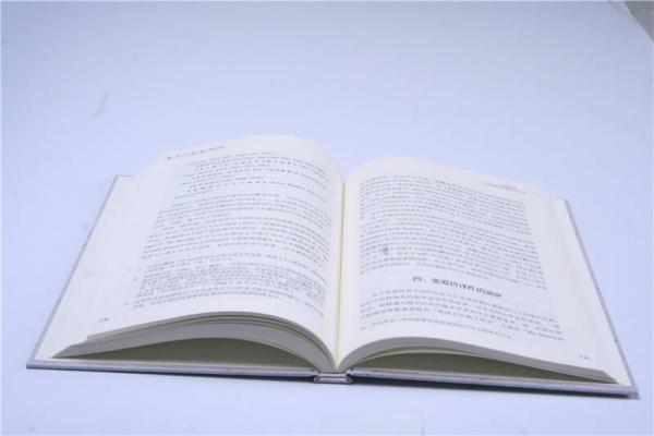 翻译与脉络 修订版