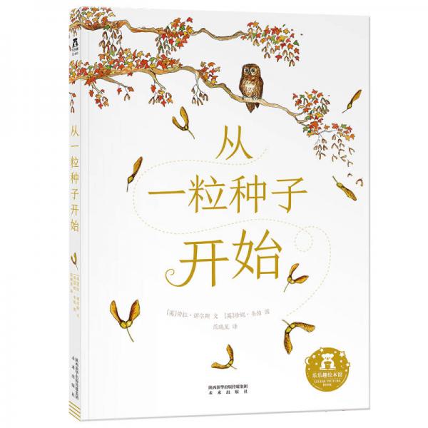 从一粒种子开始