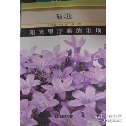 陽光里浮游的塵埃