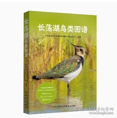 長蕩湖鳥類圖譜
