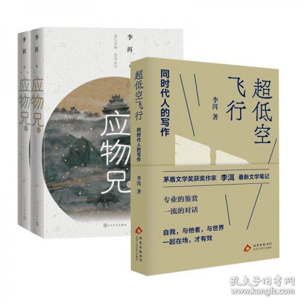 超低空飞行 同时代人的写作