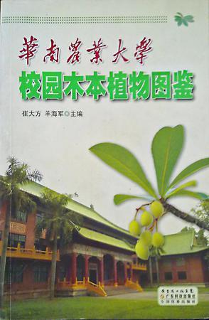 华南农业大学校园木本植物图鉴