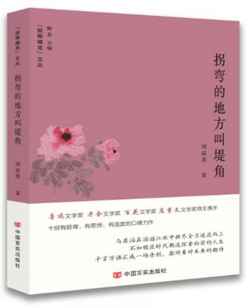 拐彎的地方叫堤角（中國版《我是貓》閃亮著諷刺批判主義的光輝，百度、天涯、搜狐網(wǎng)站連載）