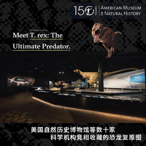 恐龙博物馆:大型肉食恐龙